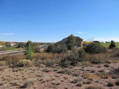 446 S Frontier Pkwy, Snowflake, AZ 85937 - photo 5