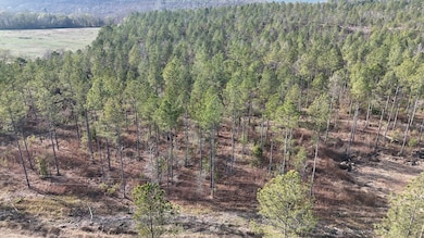 014 County Road 175, Piedmont, AL 36272 - photo 2