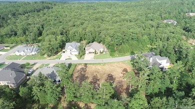 336 Waterview Meadows Ln, Roland, AR 72135 - photo 6