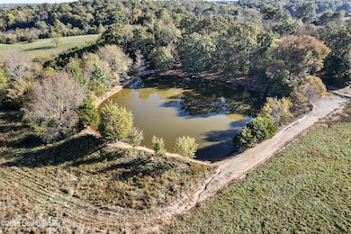 1000 Hazy Downs Rd, Raywick, KY 40060 - photo 4