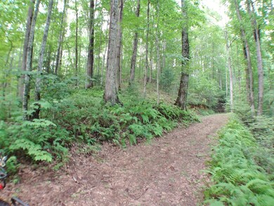 Roads through out the property