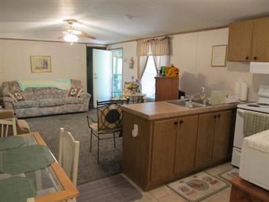 330 Walker Dr, Burnside, KY 42519 - photo 3