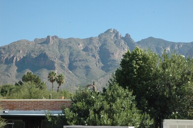 View 1