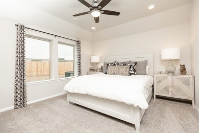 21310 Catelonia Yew Ct, Hockley, TX 77447 - photo 5