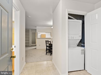 11713 Karbon Hill Ct unit 710A, Reston, VA 20191 - photo 3