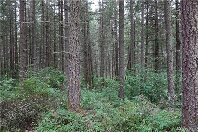 2217 384th St E, Roy, WA 98580 - photo 7