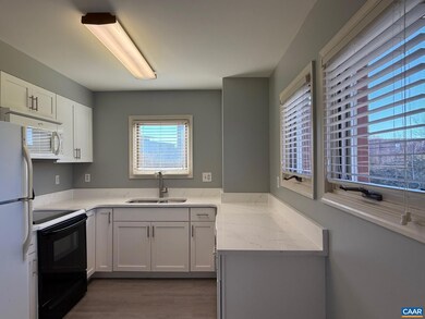 Lewis & Clark Building unit 402, Charlottesville, VA 22902 - photo 6