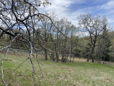 Early spring-looking toward road