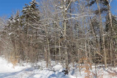 00 Chapman Rd, Ludlow, VT 05149 - photo 6