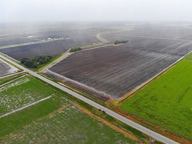 2927 Fm 1952 Rd, East Bernard, TX 77435 - photo 4