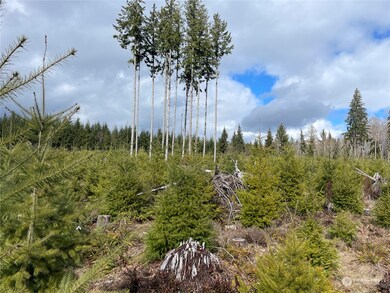 0 NA Hooper Rd, Longview, WA 98632 - photo 4