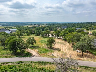 127 Hansma Way, Weatherford, TX 76087 - photo 5
