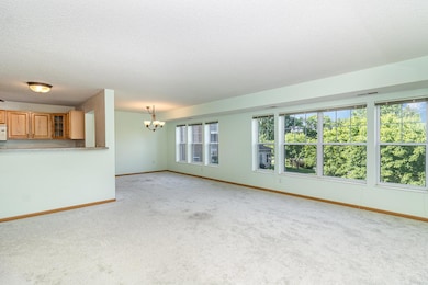 935 Ferndale St N unit 210, Saint Paul, MN 55119 - photo 7