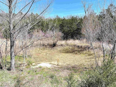 9205 Highway 9, Melbourne, AR 72556 - photo 5