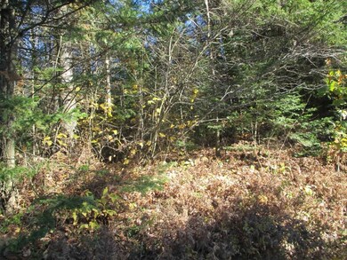 0 Whitefield Rd, Dalton, NH 03598 - photo 2