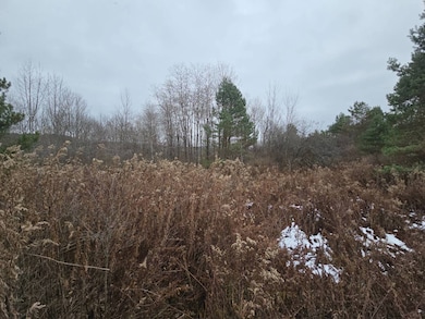 421 Beaver Meadow Rd, Plymouth, NY 13832 - photo 7