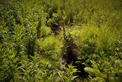 C13 Alaskan Wildwood Ranch, Nikolaevsk, AK 99556 - photo 4