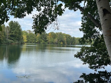 8601 N Island Dr unit 41, Canadian Lakes, MI 49346 - photo 2