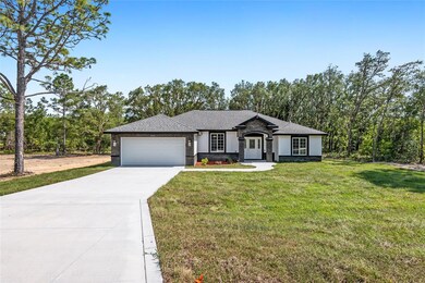 12690 SW 85th Place, Dunnellon, FL 34432 - photo 3