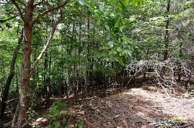 00 Victoria Dr, Marion, NC 28752 - photo 6