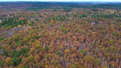 0 Point Mason Rd, Big Sandy, TN 38221 - photo 7