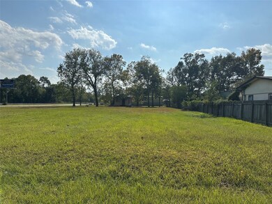 102 Hunt St, Cleveland, TX 77327 - photo 4