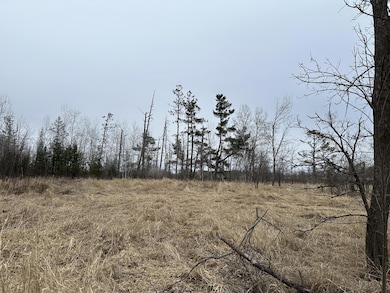 3 acres 7th St, Weyerhaeuser, WI 54895 - photo 2