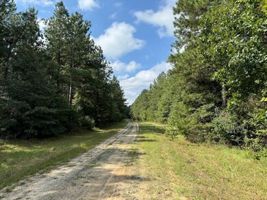 0 unit 2, Winnfield, LA 71483 - photo 7