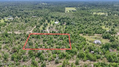 0 Warnock Rd unit 777510, Fountain, FL 32438 - photo 5