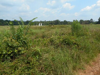 400 BLK County Road 134, Garrison, TX 75946 - photo 4