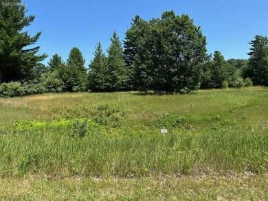 77 E Starlight Ridge Cir, Onekama Township, MI 49675 - photo 7