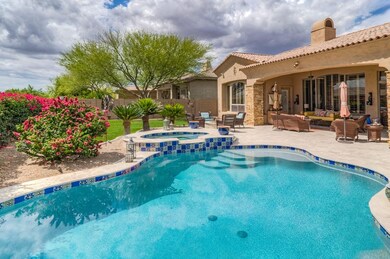 31-31-Back Yard