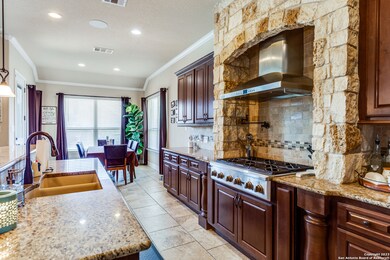 25906 Natal Plum, San Antonio, TX 78261 - photo 4