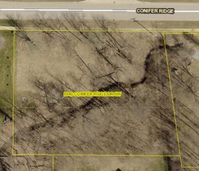 9043 Conifer Ridge Dr SW, Byron Center, MI 49315 - photo 6