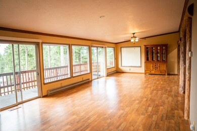 14376 Summit Dr, Bigfork, MT 59911 - photo 5