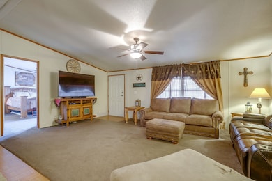 122 Blue Moon Ct, Springtown, TX 76082 - photo 7