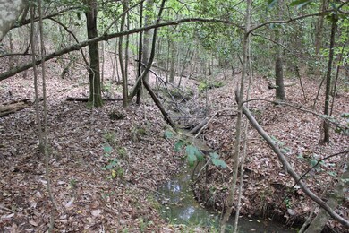 N/A Walton Rd, Nacogdoches, TX 75964 - photo 4