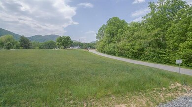 19 Dix Creek Chapel Rd, Asheville, NC 28806 - photo 4