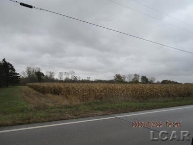 13001 BLK Bartlett Rd, Clinton, MI 49236 - photo 4