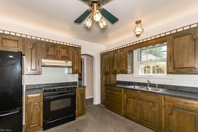 2968 N County Line Rd, Geneva, OH 44041 - photo 3