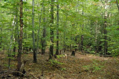 35 Hummel Dr, Corinth, NY 12822 - photo 4