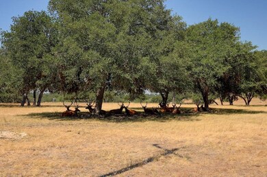 LOT 57 Red Stag Ln unit 57, Pipe Creek, TX 78063 - photo 7