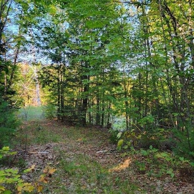 M14L17 Pattagumpus Rd, Medway, ME 04460 - photo 2