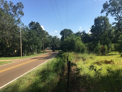 0 U S Highway 51, McComb, MS 39648 - photo 5