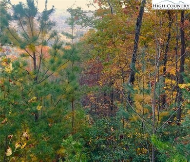 1005 Reynolds Pkwy, Ferguson, NC 28624 - photo 3