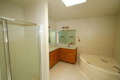 Master Bathroom with skylight
