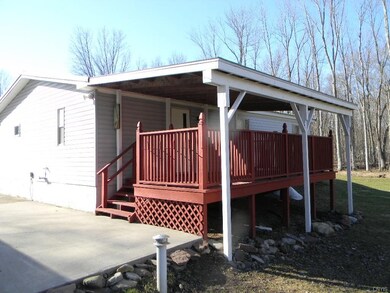 Rear Deck and Patio