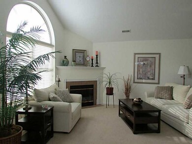 Living Room. Soaring ceilings, arched window and g
