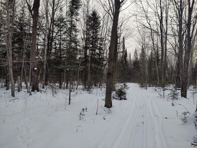 Hardwoods