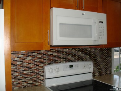 253 Frederick Ave, Floral Park, NY 11001 - photo 5